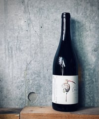 Courlis2023　クールリ