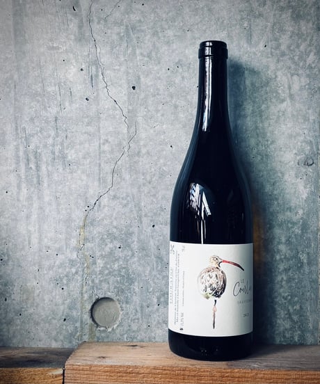 Courlis2023　クールリ