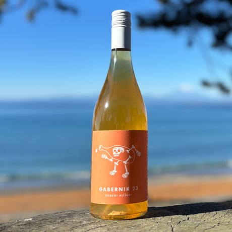 【入手困難】2021 アミーチ リザーブ カベルネソーヴィニオン ナチュラルワイン専門店 ami hayama/オンラインストア