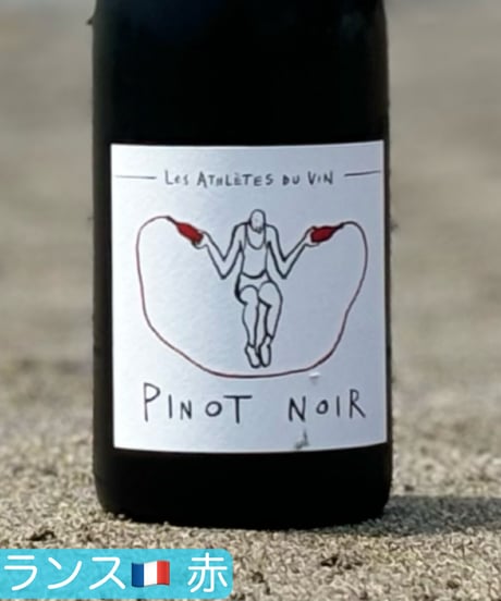 Pinot Noir 2023 ピノ・ノワール