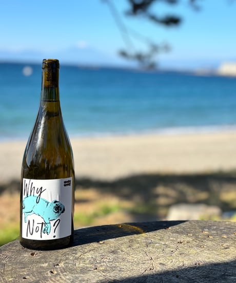 WHY NOT? CHARDONNAY 2023 ホワイ・ノット？ シャルドネ