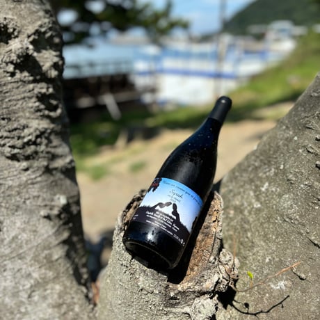 Syrah シラー
