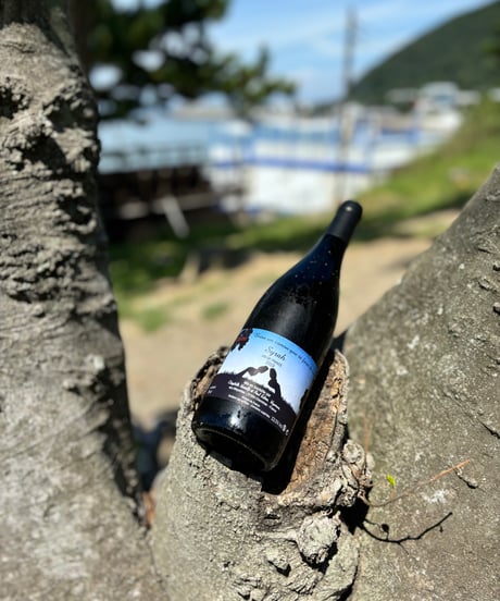 Syrah シラー