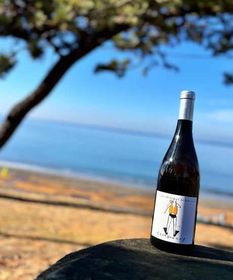 CHARDONNAY 2023 シャルドネ