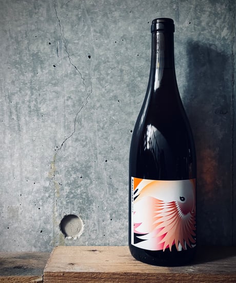 Arancione 2024 アランチョーネ