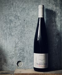 Pinot Noir 2022 ピノ・ノワール