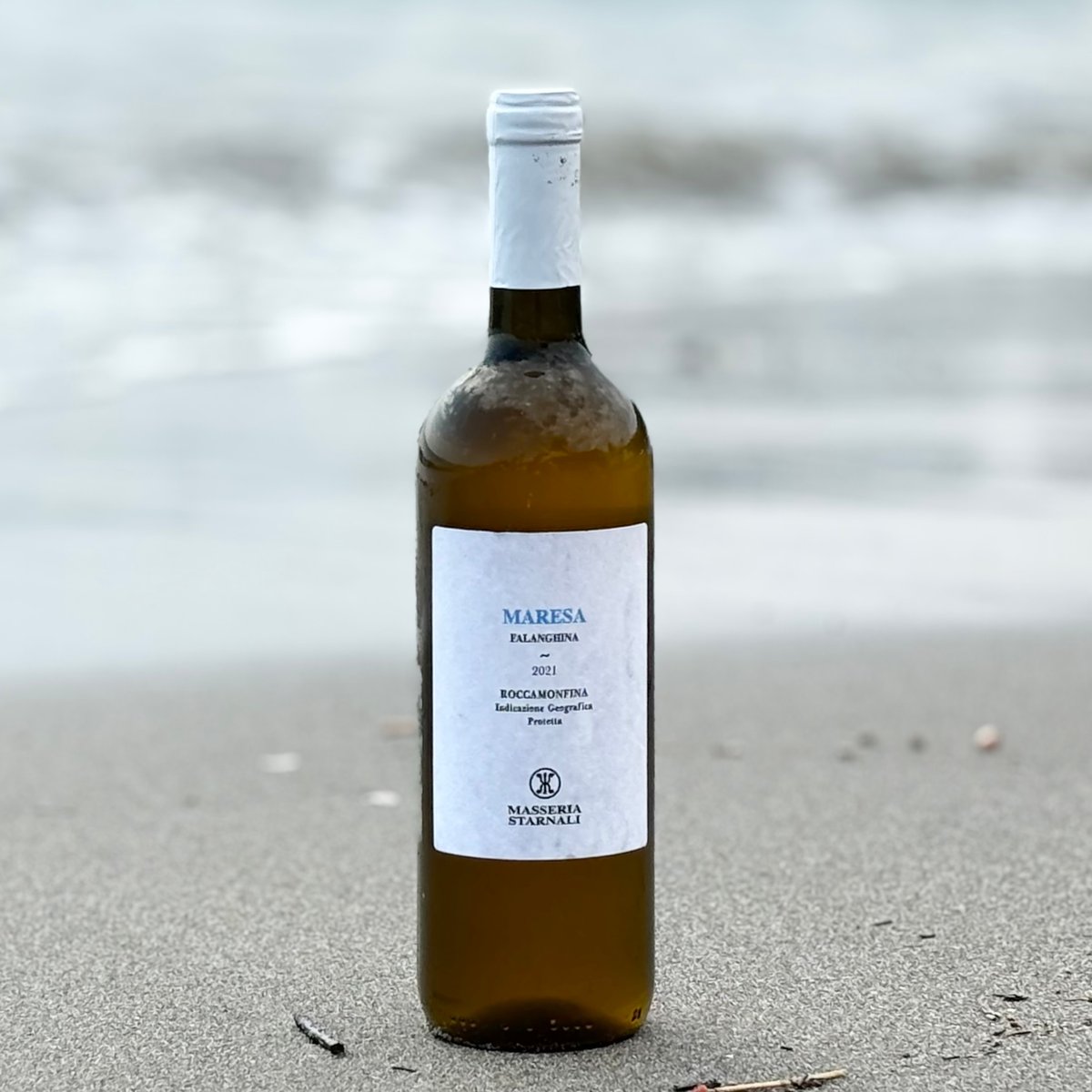 MAIORA マイオラ 限定 Mediterranean メディテレーニアン MAIORA マイオラ 限定 Mediterranean メディテレーニアン Maiora