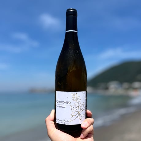 【hajism1969専用】ミアーニ ／ シャルドネ17年、メルロー16年 CATEGORY ami hayamaの定番ワイン | ナチュラルワイン専門店 ami hay