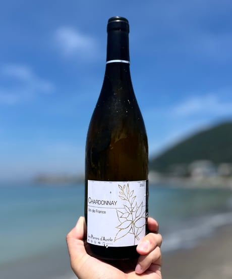 Chardonnay 2025 シャルドネ