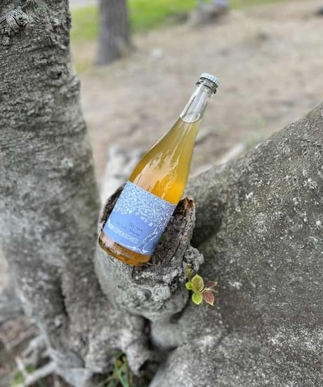 WEISSE SAUSE PÉTNAT brut nature　ヴァイスソース ペトナット ブリュット ナチュール