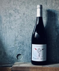 Pinot Noir 2023 ピノ・ノワール