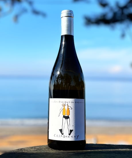 CHARDONNAY 2023 シャルドネ