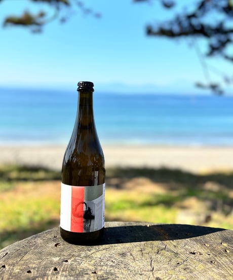 Sauvignon Blanc 2023　ソーヴィニョン・ブラン
