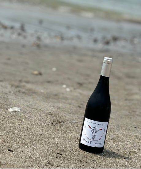 Pinot Noir 2023 ピノ・ノワール