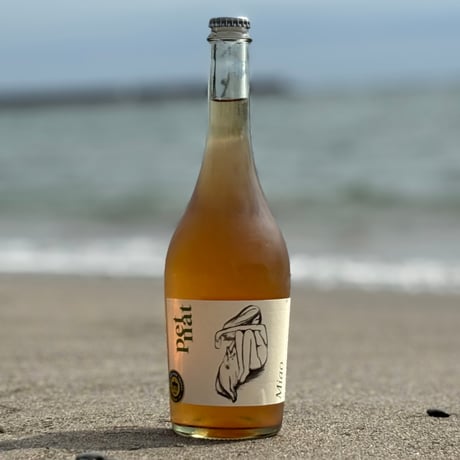 CATEGORY チリ | ナチュラルワイン専門店 ami hayama/オンライン