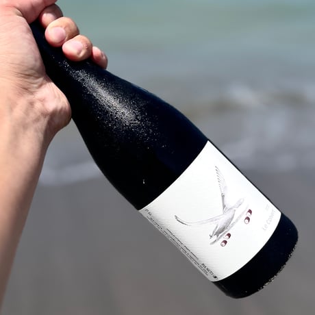 Corvert コルベール