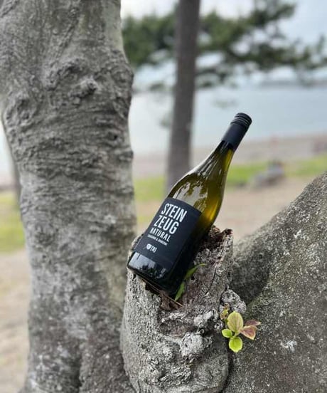 STEINZEUG Manzoni&Sauvignon natural2022　シュタインソーク・マンゾーニ・ソーヴィニヨン・ナチュラル