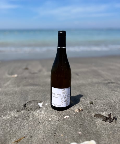 Chardonnay 2025 シャルドネ