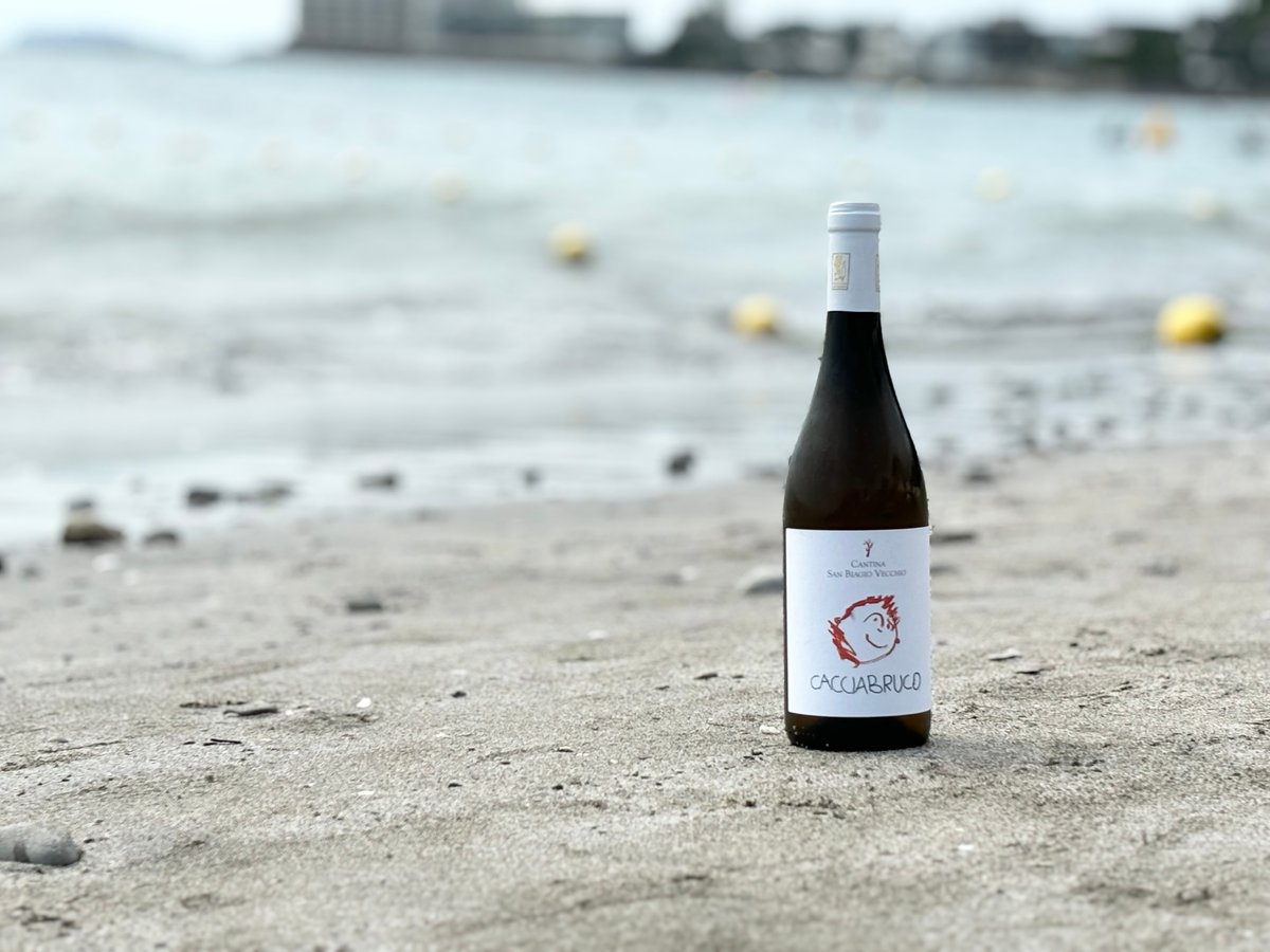 CACCIA BRUCO 2022 カッチャブルーコ | ナチュラルワイン専門店 ami ha