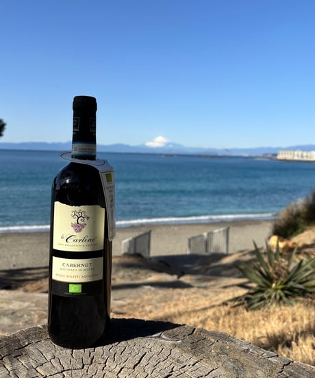Le Carline Cabernet Senza Solfiti Aggiunti 2023 レ・カルリーネ　カベルネ　センツァ・ソルフィティ