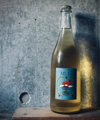 MULA ムーラ
