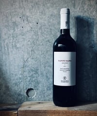 SANTO SANO 2018 サントサーノ