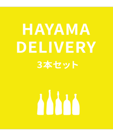 【葉山・逗子近郊・配達専用】◎おまかせナチュラルワインの真髄を味わうセット（約10％お得）3本セット←ami hayamaおすすめ