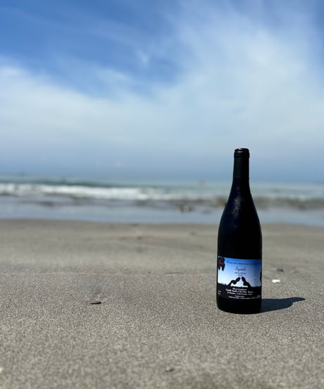 Syrah シラー