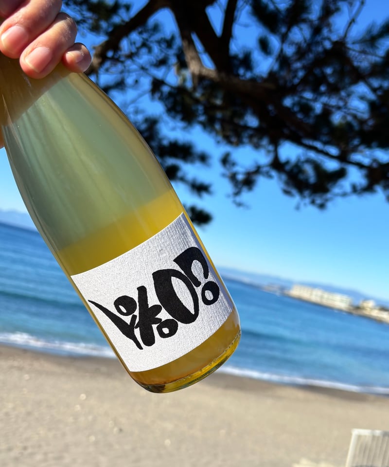 ono オノ | ナチュラルワイン専門店 ami hayama/オンラインストア