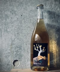 2025 Sparkle Tree スパークル ツリー