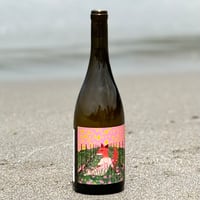 Primavera 2022　プリマヴェーラ