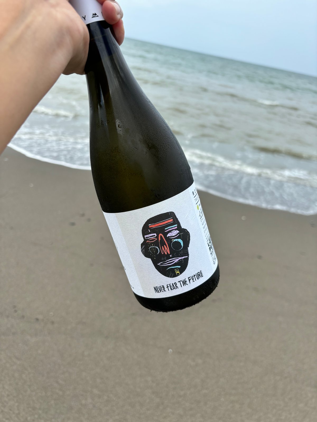 【希少】ハウリング('81米) 23-24 NOMADIK ANORAK JKT スノーボード ウェア ノマディック