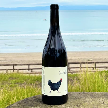 aiレ・カイユ・デュ・パラディ　ピノノワール　ガメイ2010年2本セット CATEGORY 赤ワイン | ナチュラルワイン専門店 ami hayama/オンラインストア