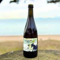 Campagne pour tout le monde コンパーニ ポトゥルモンド