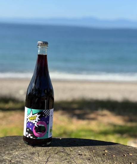 Syrah PetNat 2024  シラーペットナット