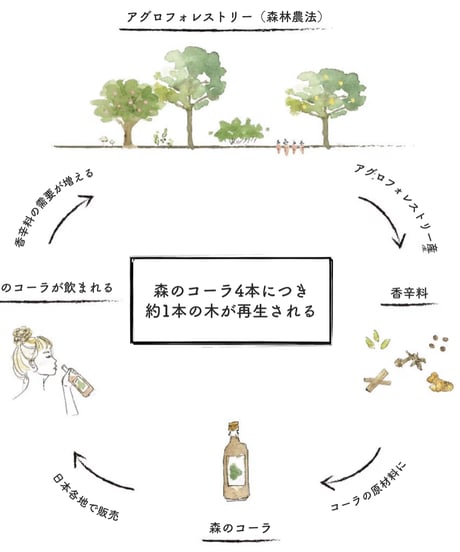 森のコーラ　Lサイズ 720ml