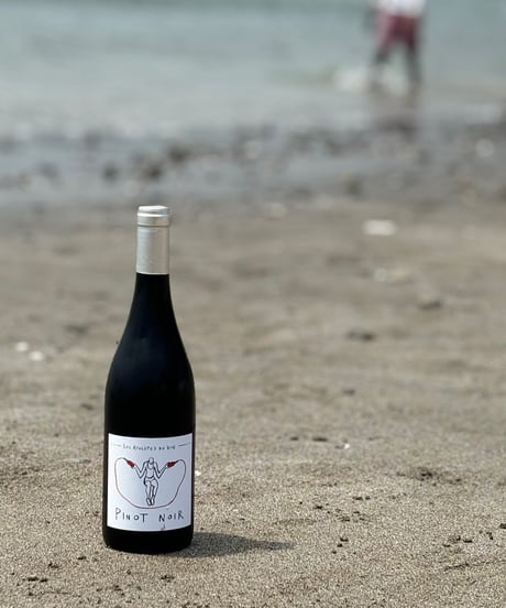 Pinot Noir 2023 ピノ・ノワール
