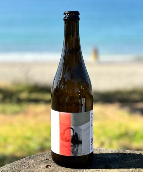 Sauvignon Blanc 2023　ソーヴィニョン・ブラン