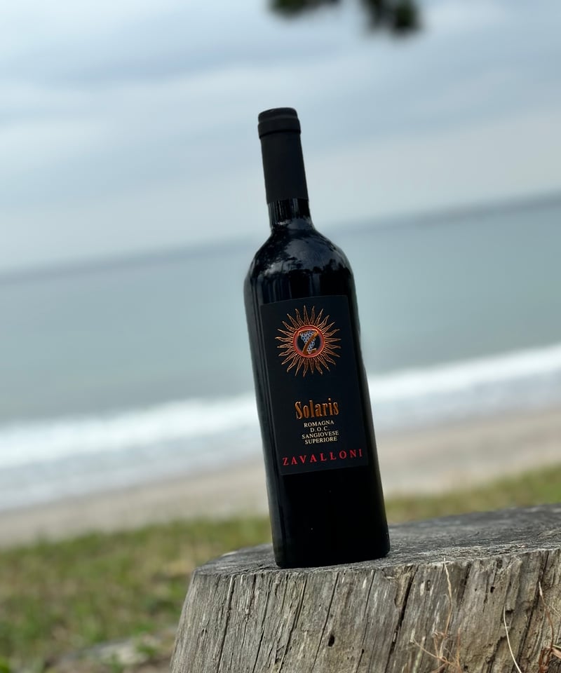 Solaris 2021 ソラリス | ナチュラルワイン専門店 ami hayama/オンライ