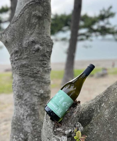 VELTENBUMMLER Grüner Veltliner trocken2024　ヴェルテンバムラー グリューナー ヴェルトリーナー トロッケン