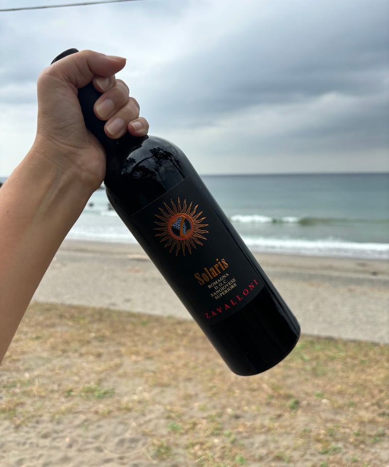 Solaris 2021 ソラリス | ナチュラルワイン専門店 ami hayama/オンライ