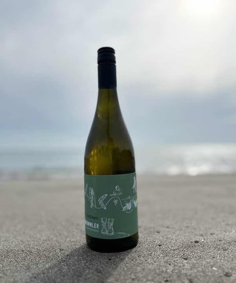 VELTENBUMMLER Grüner Veltliner trocken2024　ヴェルテンバムラー グリューナー ヴェルトリーナー トロッケン