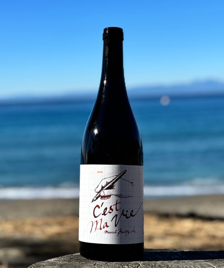 6本セット（南向醸造、ラポムレ、オヤマダ） CATEGORY 日本