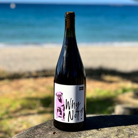 CATEGORY 赤ワイン | ナチュラルワイン専門店 ami hayama/オンラインストア