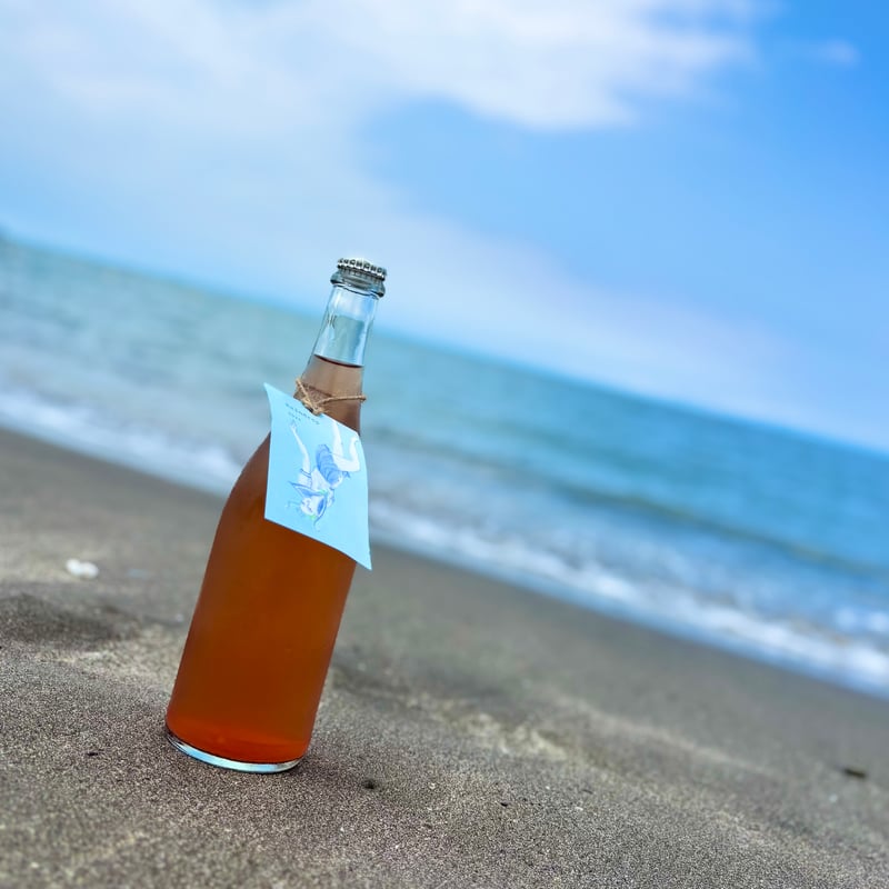 れいんどろっぷページ 楽天市場】[R1431]ROTOTO(ロトト) RAIN DROP CREW SOCKS(レイン