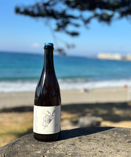 Lièvre2021　リエーブル