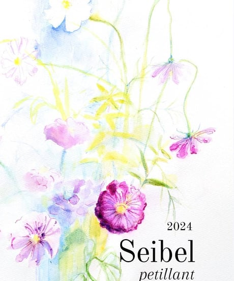 2024 Seibel petillant