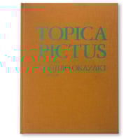 TOPICA PICTUS とぴか ぴくたす　岡﨑乾二郎