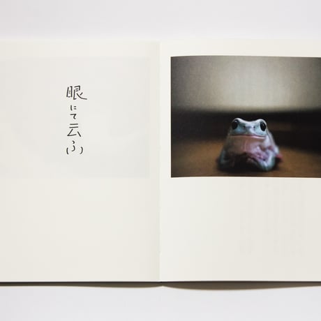 写訳　春と修羅　詩：宮沢賢治　写真とエッセイ：齋藤陽道　／解説　若松英輔