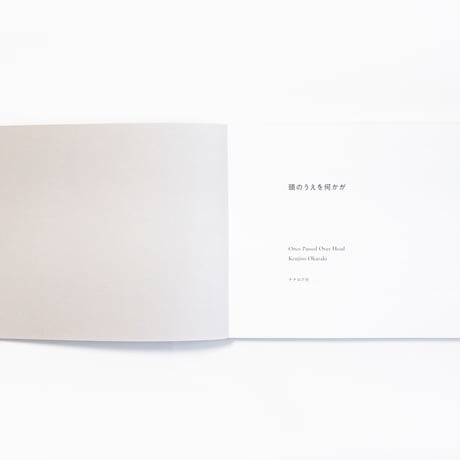 頭のうえを何かが　Ones Passed Over Head　岡﨑乾二郎